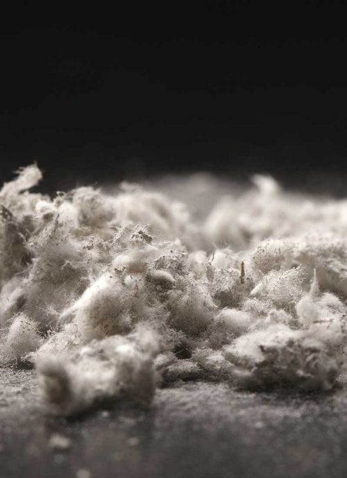 sourceOfAsbestos