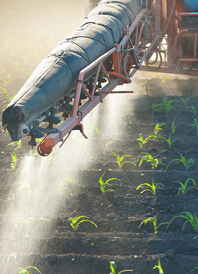 spraying plants